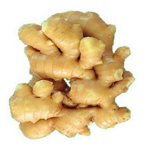 China exporters High Quality Lowest Price Chinese Wet Ginger For Sale